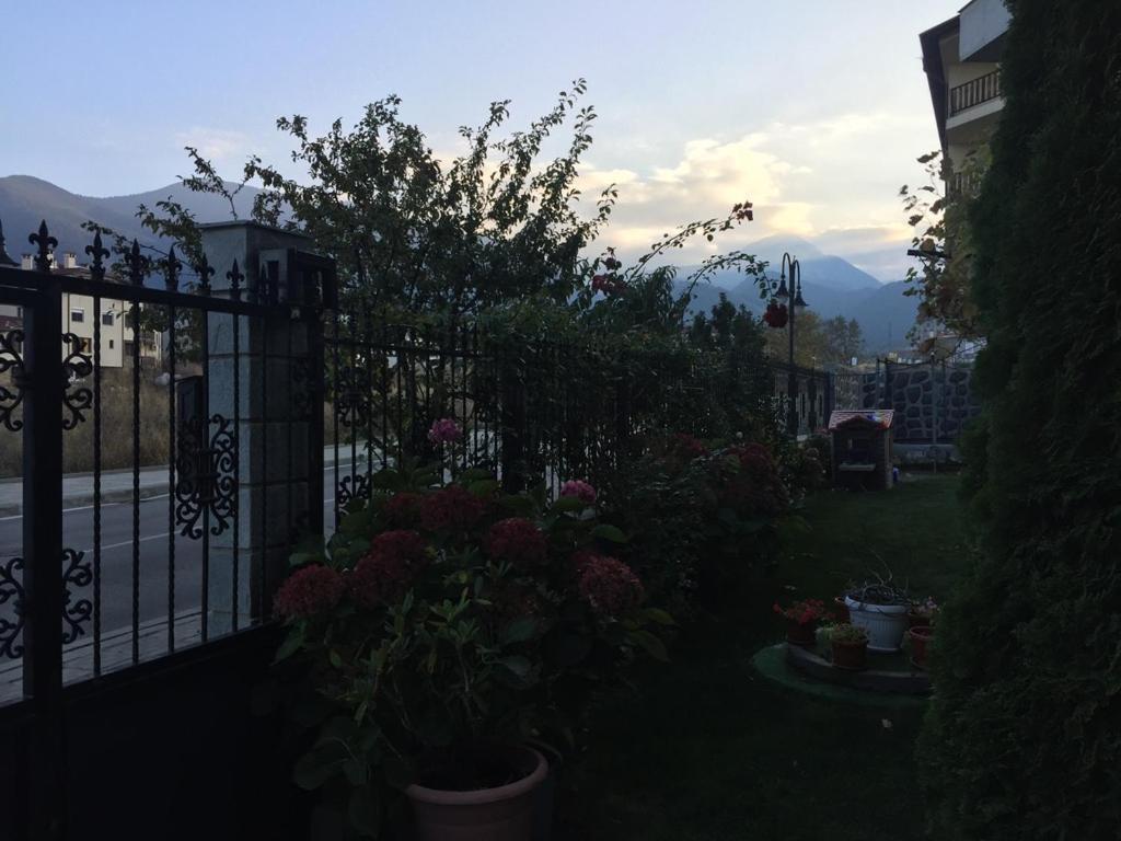 Skiing, Walking, Enjoying In Mountains Bansko Exterior photo