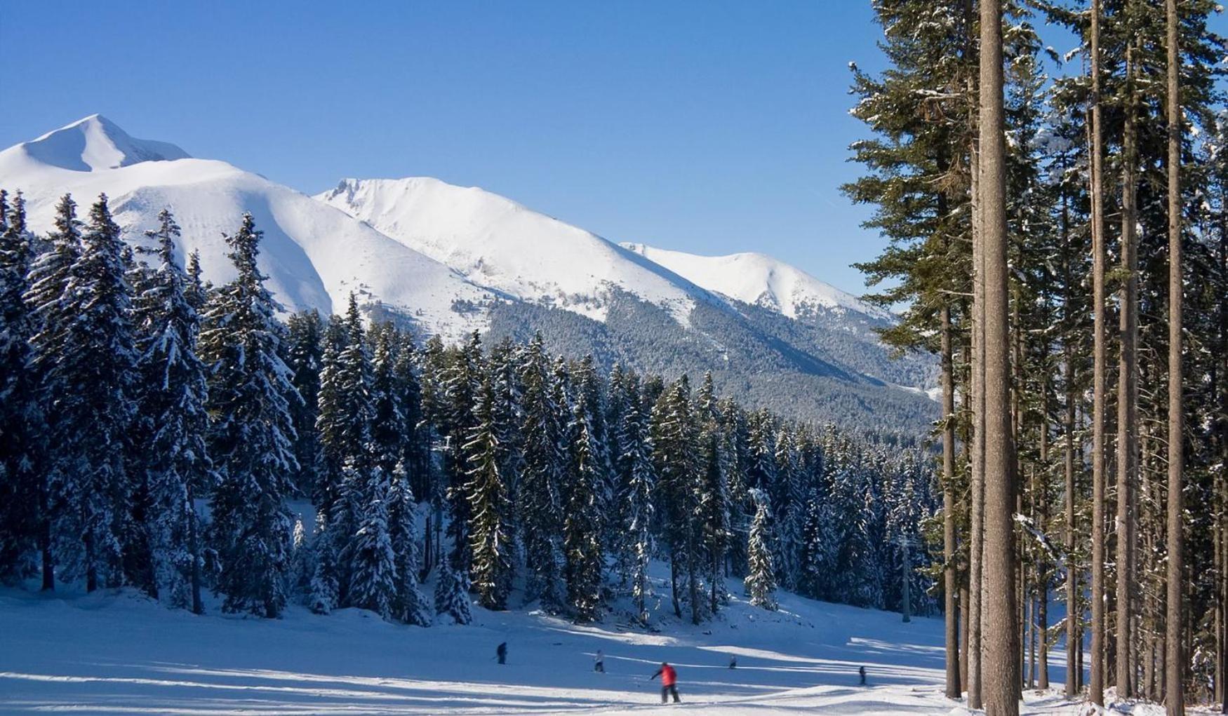 Skiing, Walking, Enjoying In Mountains Bansko Exterior photo