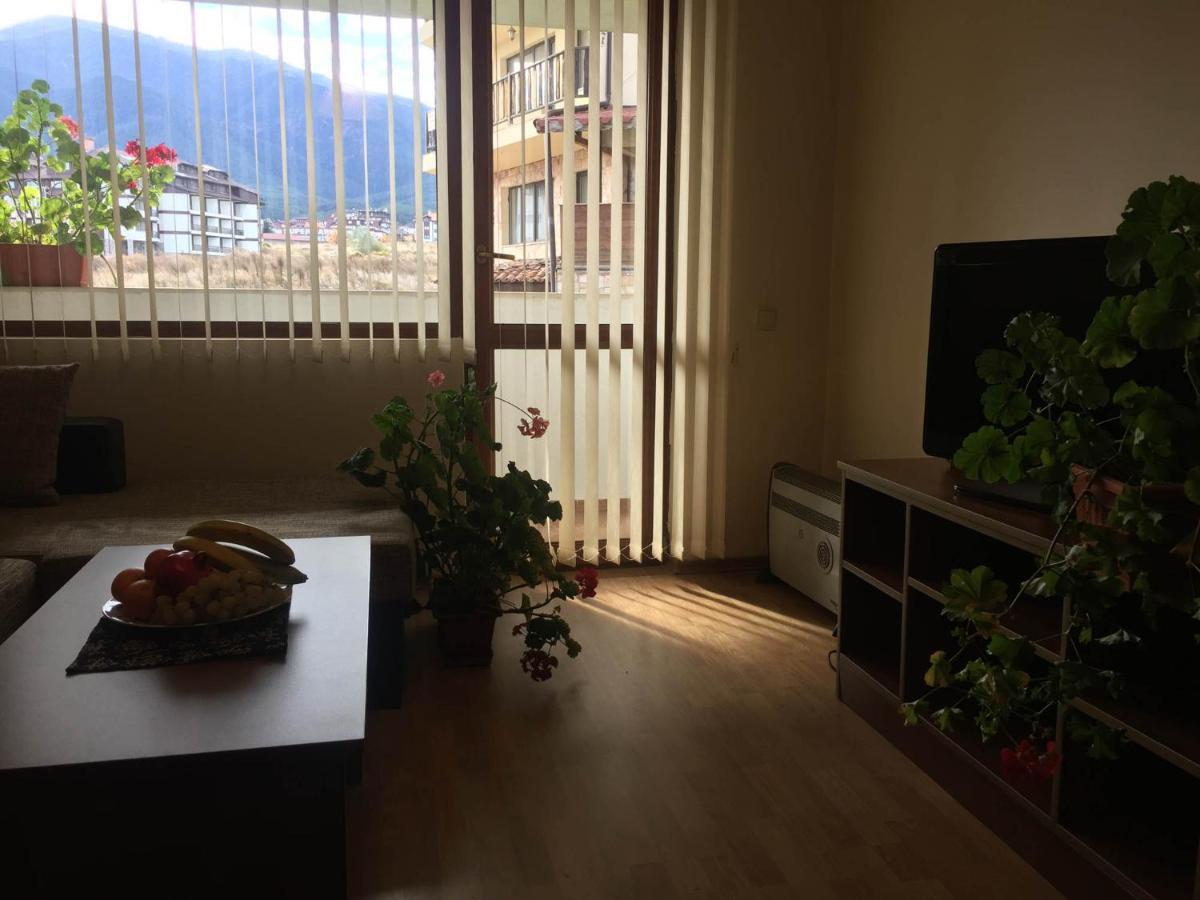 Skiing, Walking, Enjoying In Mountains Bansko Exterior photo